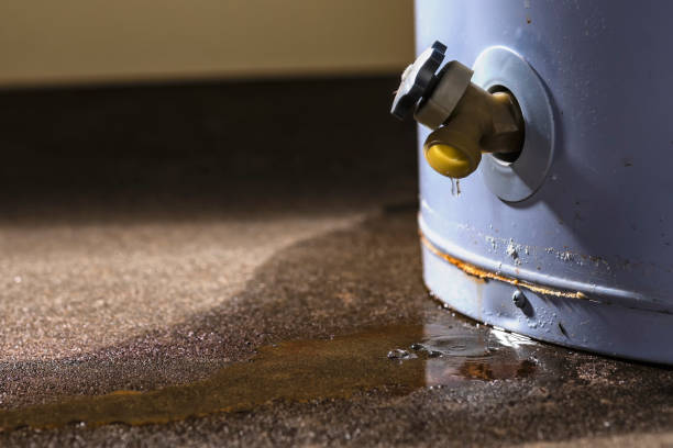 Best Carpet water damage restoration  in Berwyn, PA