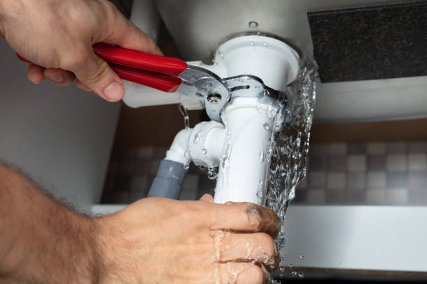 Best Flooded house restoration  in Berwyn, PA