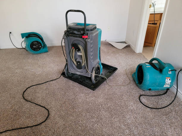 Professional Water damage restoration in Berwyn, PA