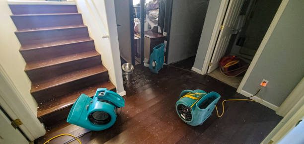 Best 24/7 water damage repair  in Berwyn, PA
