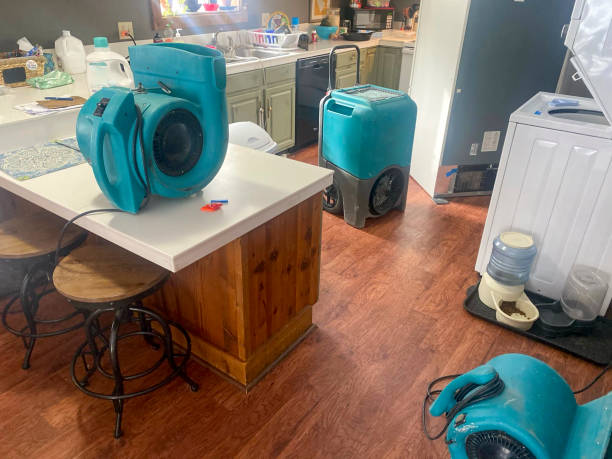 Best Water damage contractors near me  in Berwyn, PA