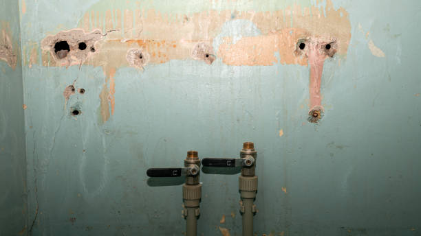 Best Local water damage restoration  in Berwyn, PA