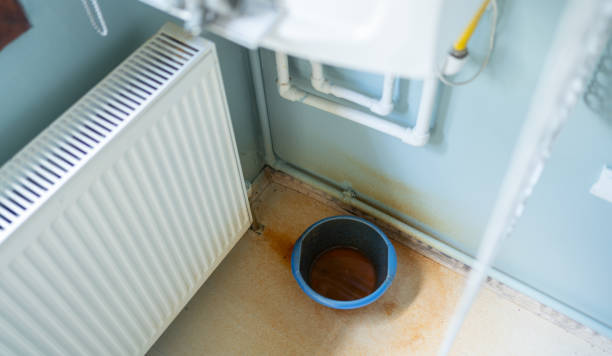 Best Mold removal after water damage  in Berwyn, PA