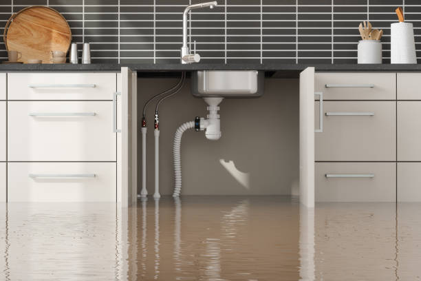 Best Water damage restoration near me  in Berwyn, PA