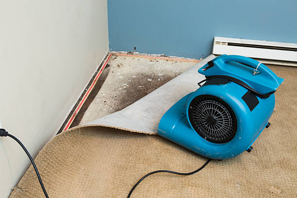 Best Emergency water damage restoration  in Berwyn, PA